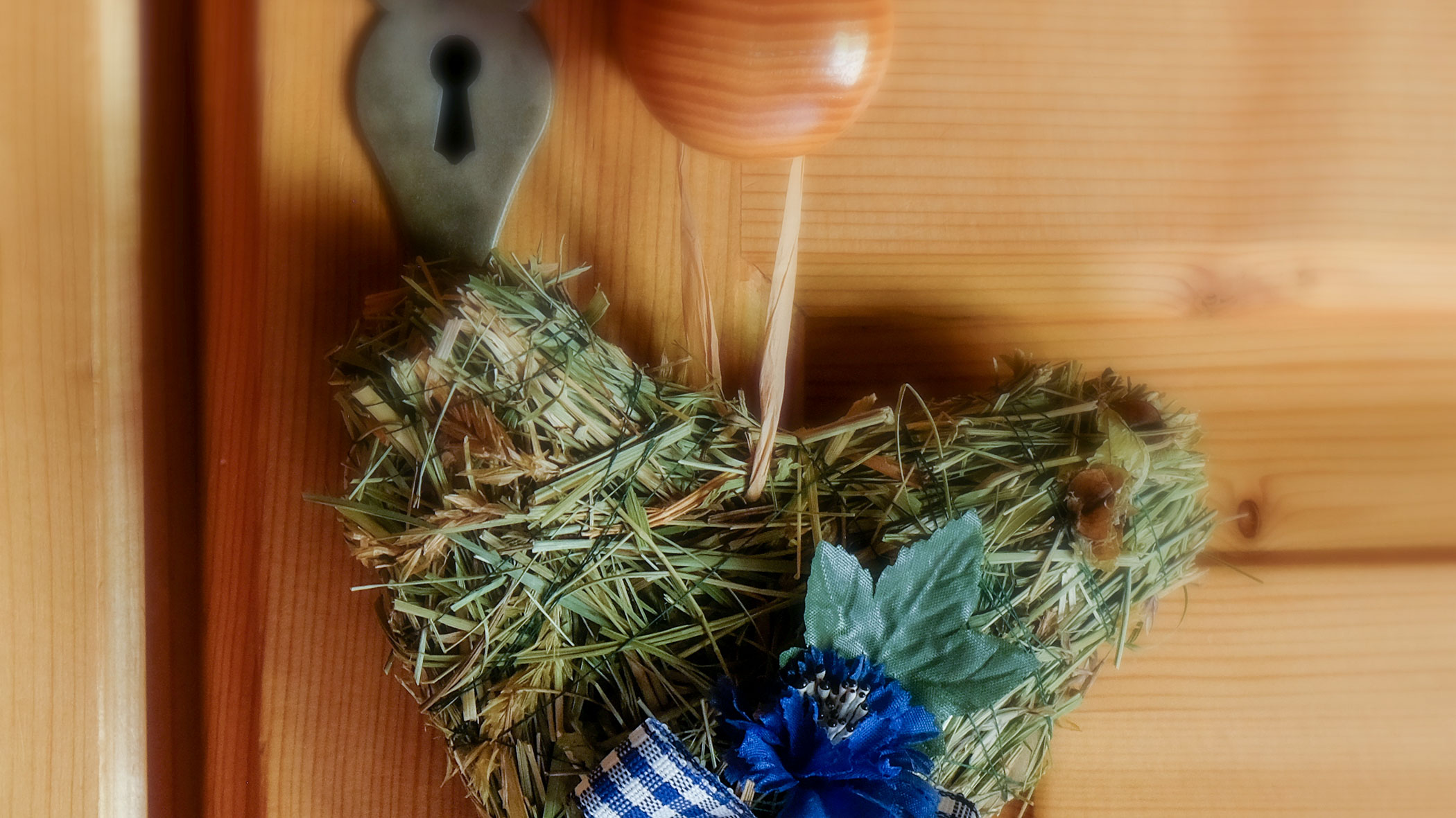 Decoration - cornflower